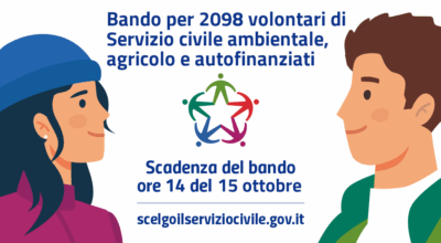 immagine dell'articolo