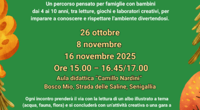 immagine dell'articolo