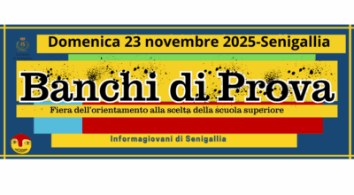 immagine dell'articolo