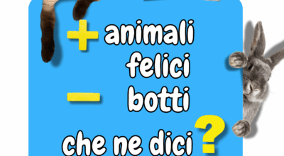 immagine dell'articolo