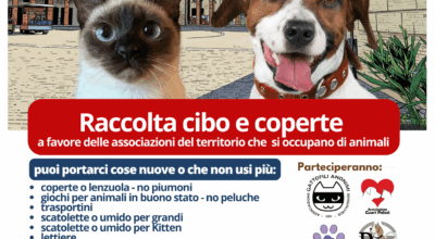 immagine dell'articolo