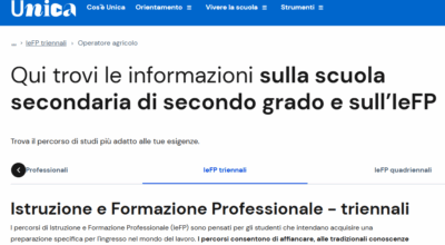 immagine dell'articolo